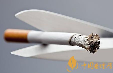 一天一包烟对身体有什么危害 开始戒烟后肺部的变化分析